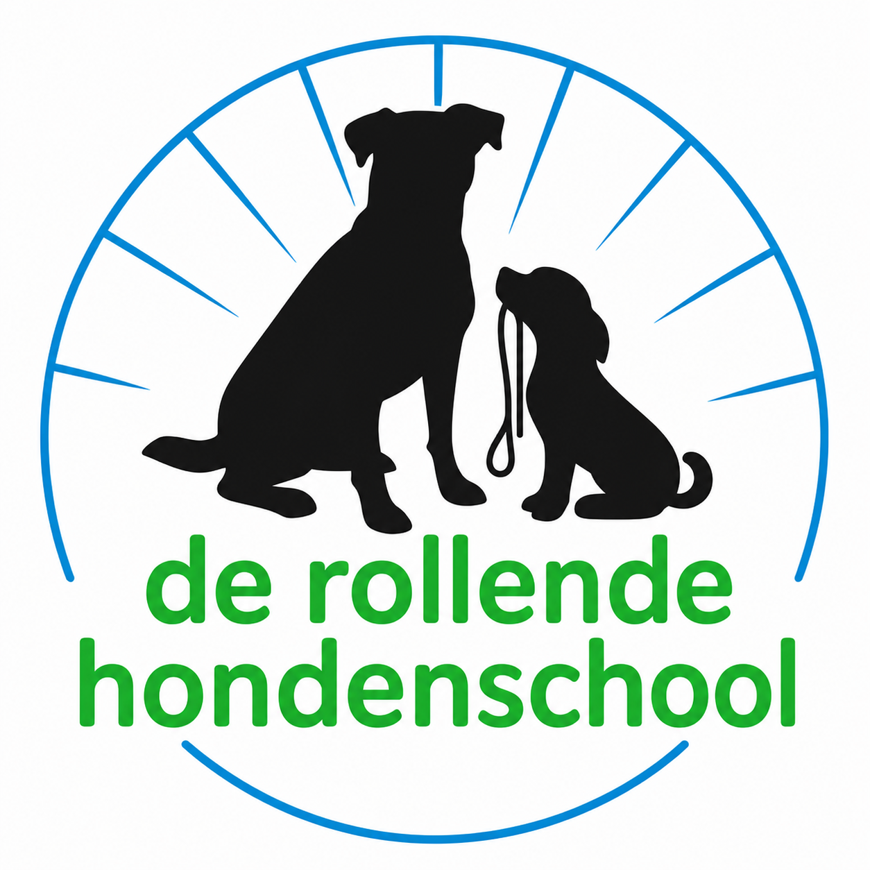 Individuele hondentraining in Breukelen